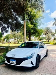 Raw Limousine